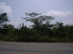 8940RIMG0014.JPG