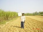 6627gt094-cropland-1.jpg
