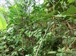 43452CIMG0257.JPG