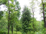 17514100_2771.JPG