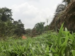 49047CIMG5384.JPG
