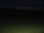 32380p112_s.jpg