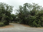 35780DSC02541.JPG