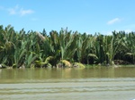 54676Bulungan (171).JPG