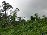 45502CIMG2587.JPG