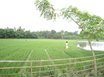 14408IMG_4754.JPG