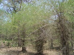 526127042008(33).JPG
