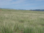 276052003-Q4.JPG