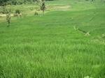 15242IMG_4064.JPG