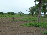 18626P1000464.JPG