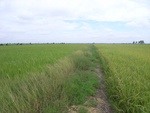 26168RIMG0220.JPG