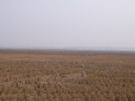 4639RIMG0068-1.JPG