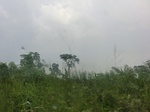 49934CIMG6271.JPG