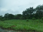 51958CIMG0633.JPG