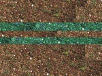 11652082-Irrigated (Surface water) cotton-b.jpg