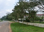 46623CIMG0912.JPG