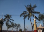 16473IMG_5258.JPG