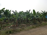 50440CIMG1069.JPG