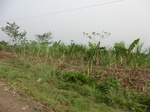 50754CIMG1383.JPG