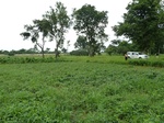 18699P1000537.JPG