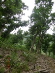 53598CIMG6963.JPG