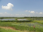 24613DSC00832.JPG