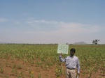 9364gt059a-cropland-rainfed.gif