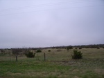 16693RIMG0260.JPG