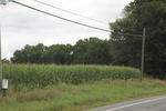 2024-09-24_16-32-37_E02766C3-B393-4838-88B1-46014D01084E.jpeg