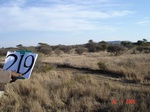 11008gt-219-wetland-dry-river-bed-02.jpg