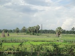 21293DSC00880.JPG