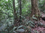 45725CIMG2810.JPG