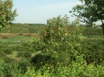 51732CIMG0748.JPG