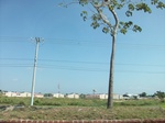 5835100_1497.JPG