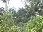 49128CIMG5465.JPG