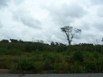 20055P1010906.JPG