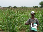 126750184d-rainfed-agriculture-millet-dominant-cotton-greengram.gif