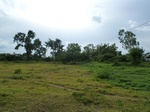 18649P1000487.JPG