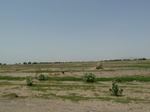 19186P1010032.JPG