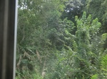 49595CIMG5932.JPG