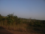 9017RIMG0094.JPG