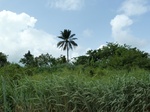18201P1000037.JPG