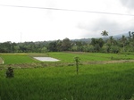 16447IMG_5232.JPG