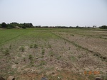 52165Tank ID 1800105 Bugadur 5.JPG