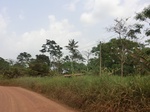 49210CIMG5547.JPG