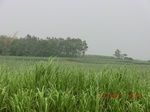 33073CIMG2308.JPG