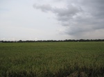 14419IMG_4765.JPG