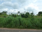 20738P1020595.JPG