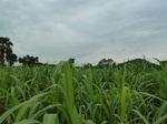18373P1000209.JPG