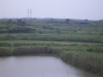 799R0015371.jpg